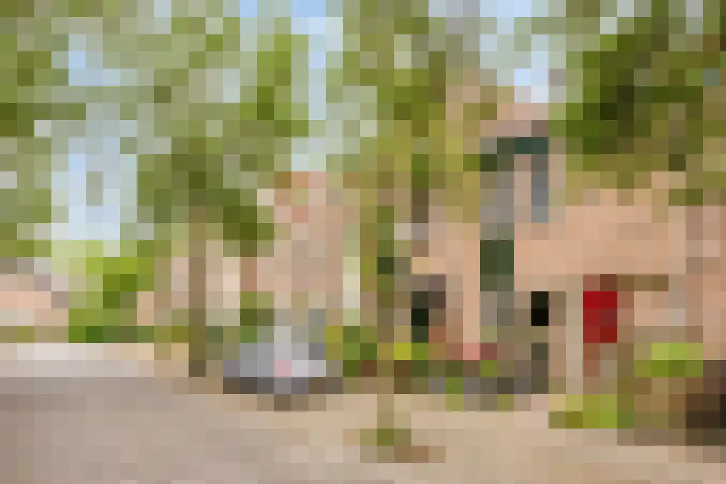 Paardenweide 76 Zwaag thumbnail 40