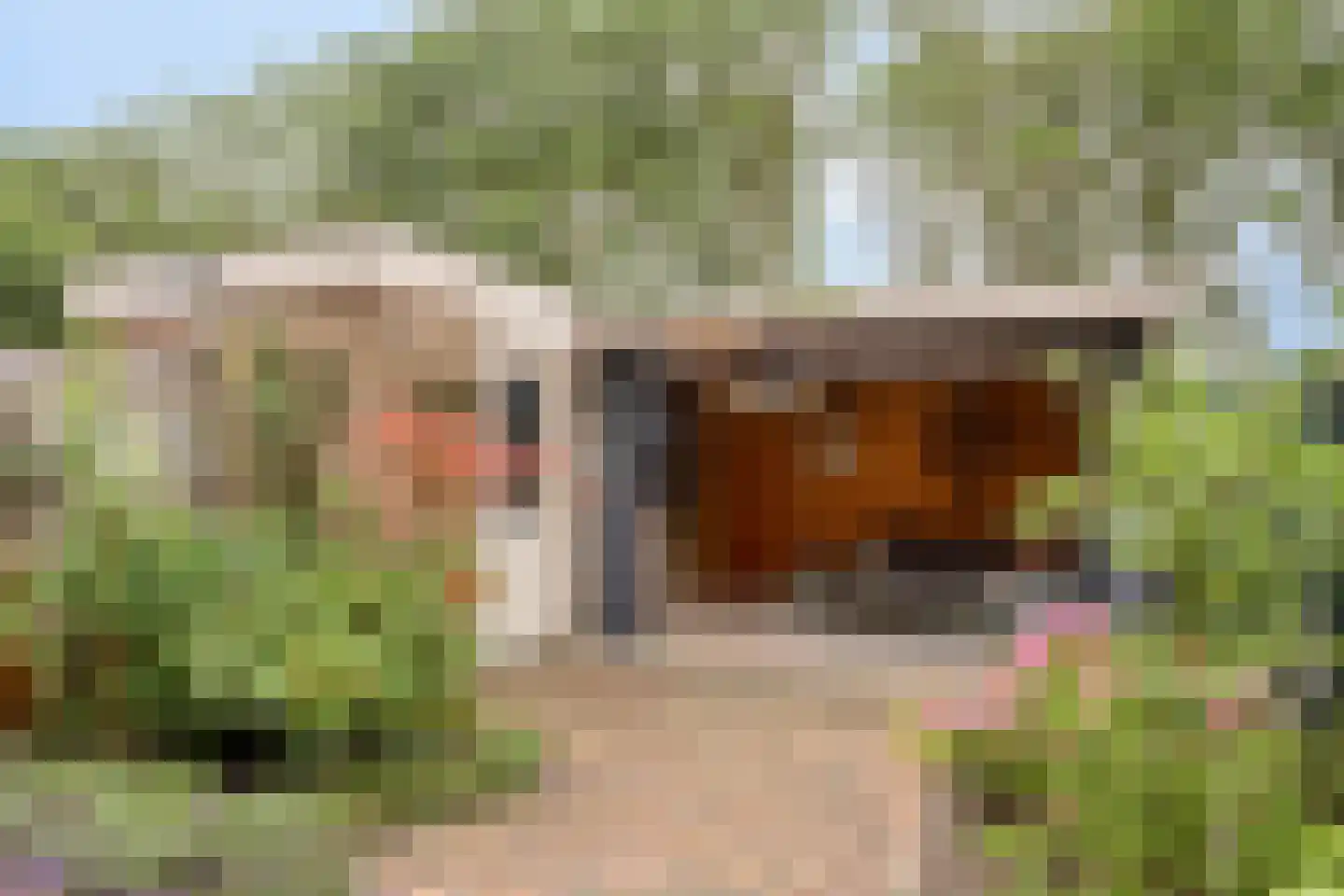 Paardenweide 76 Zwaag thumbnail 5