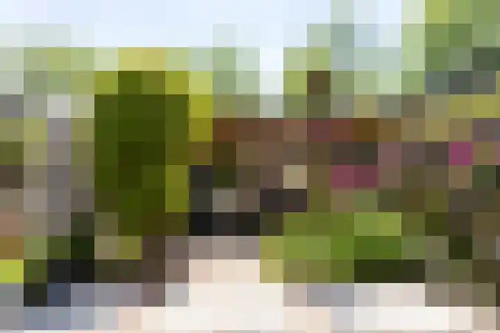 Paardenweide 83 Zwaag thumbnail 31