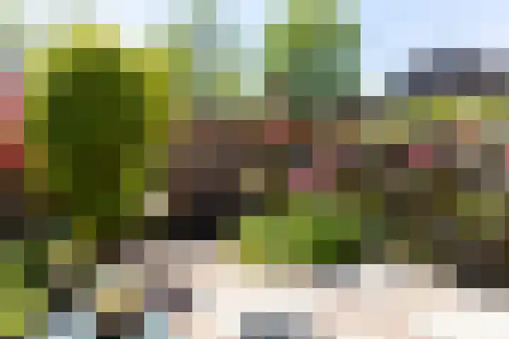 Paardenweide 83 Zwaag thumbnail 32