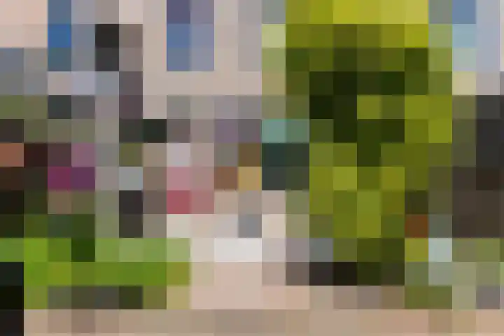 Paardenweide 83 Zwaag thumbnail 33