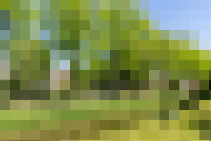 Paardenweide 83 Zwaag thumbnail 36