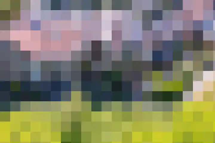 Paardenweide 83 Zwaag thumbnail 38