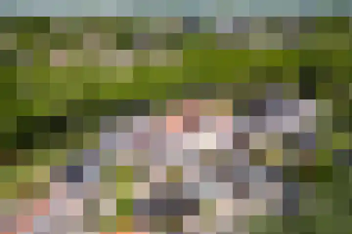 Paardenweide 83 Zwaag thumbnail 40