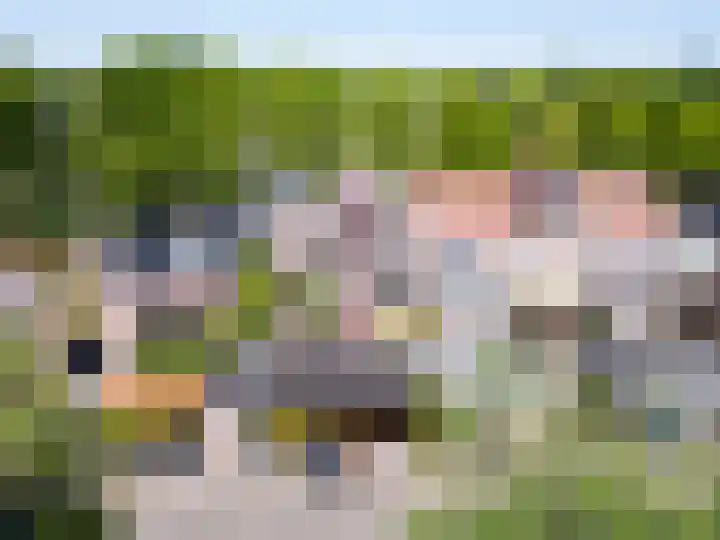 Paardenweide 83 Zwaag thumbnail 46