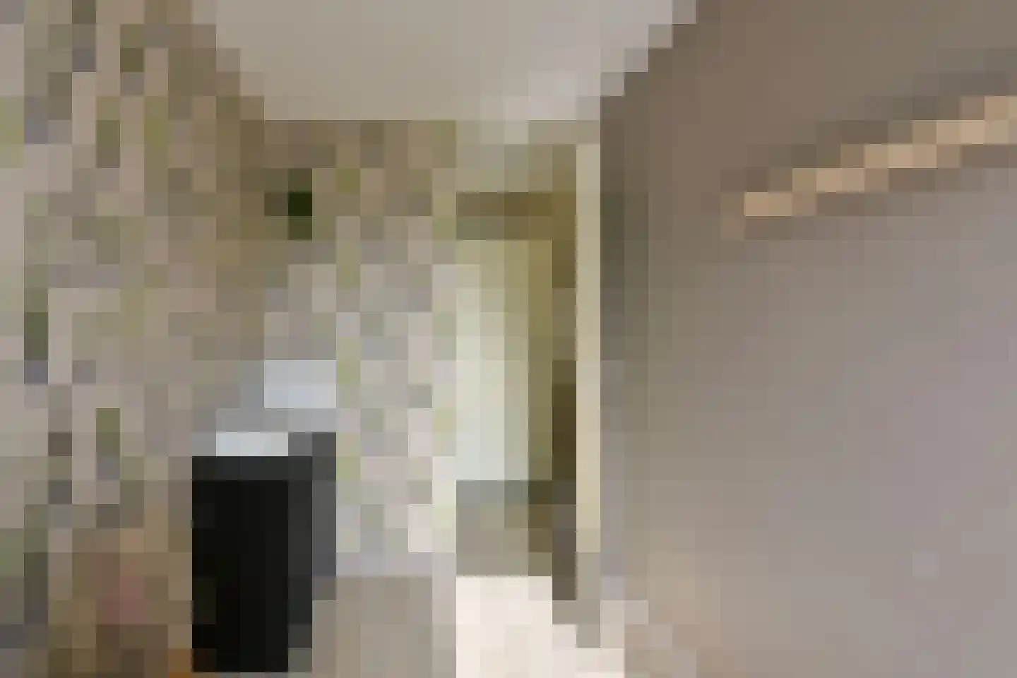 Paardenweide 84 Zwaag thumbnail 15