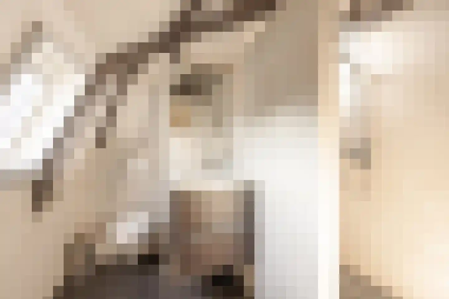 Paardepad 6 Hindeloopen thumbnail 4