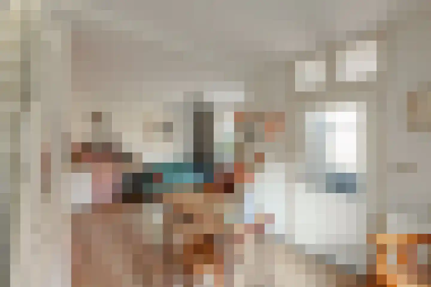 Paardepad 6 Hindeloopen thumbnail 7