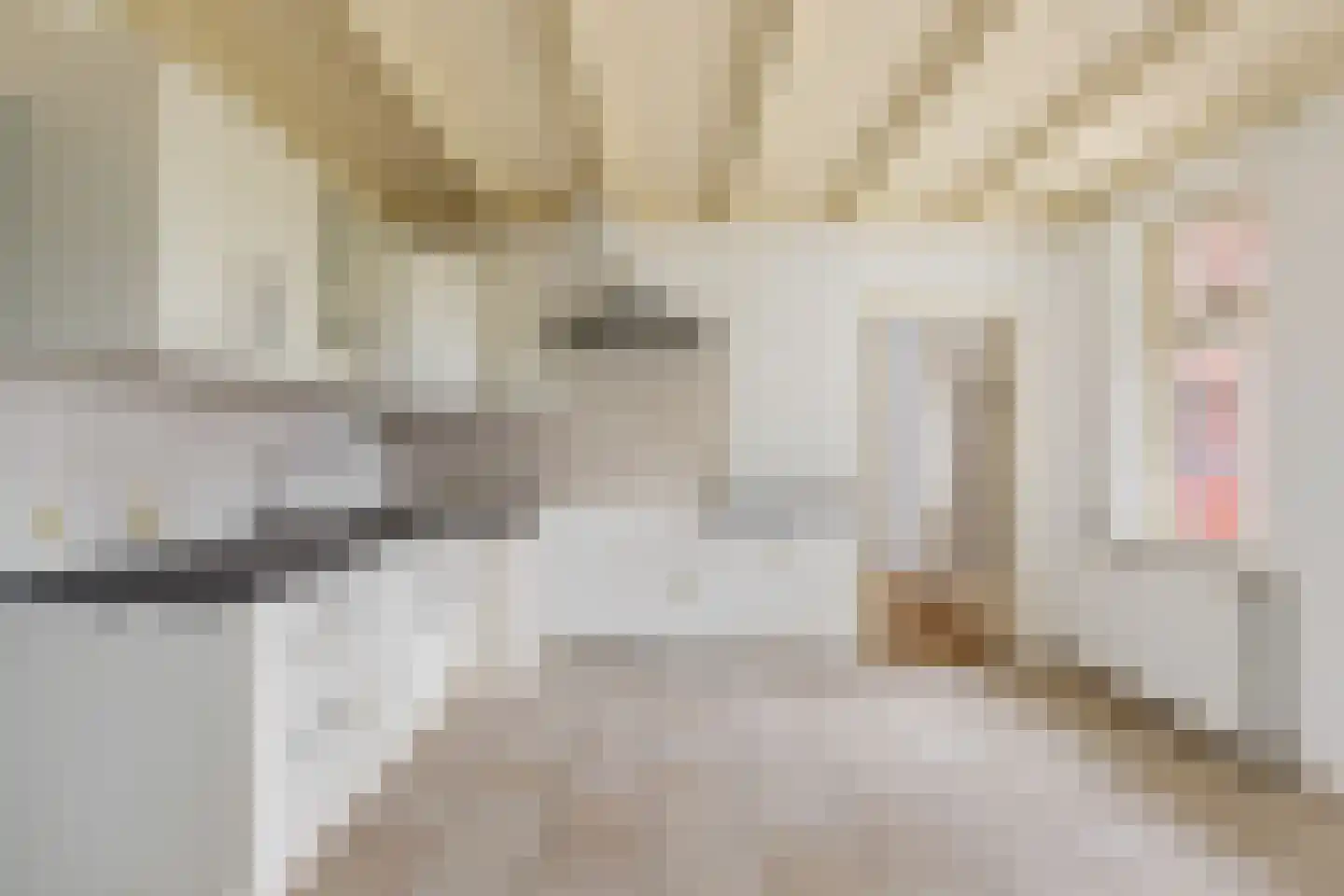 Paardestraat 1 A Steenderen thumbnail 12