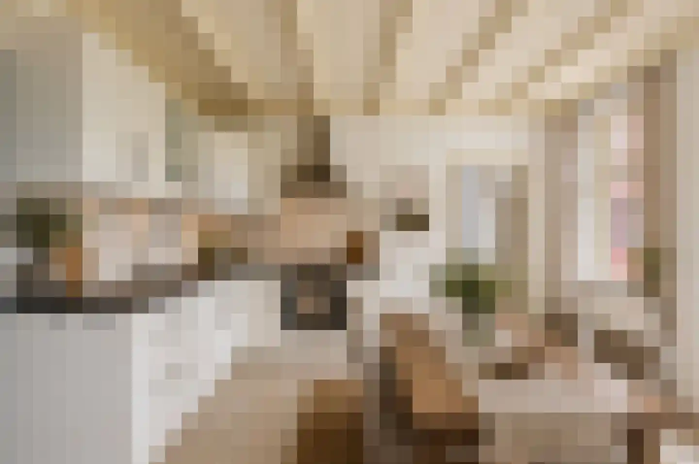 Paardestraat 1 A Steenderen thumbnail 13