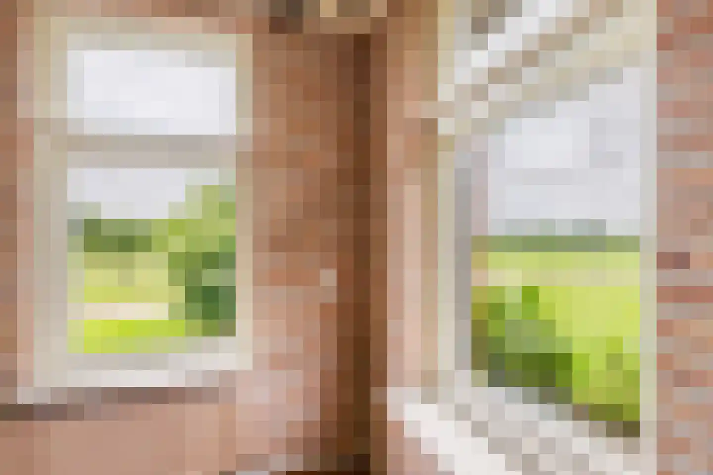 Paardestraat 1 A Steenderen thumbnail 18