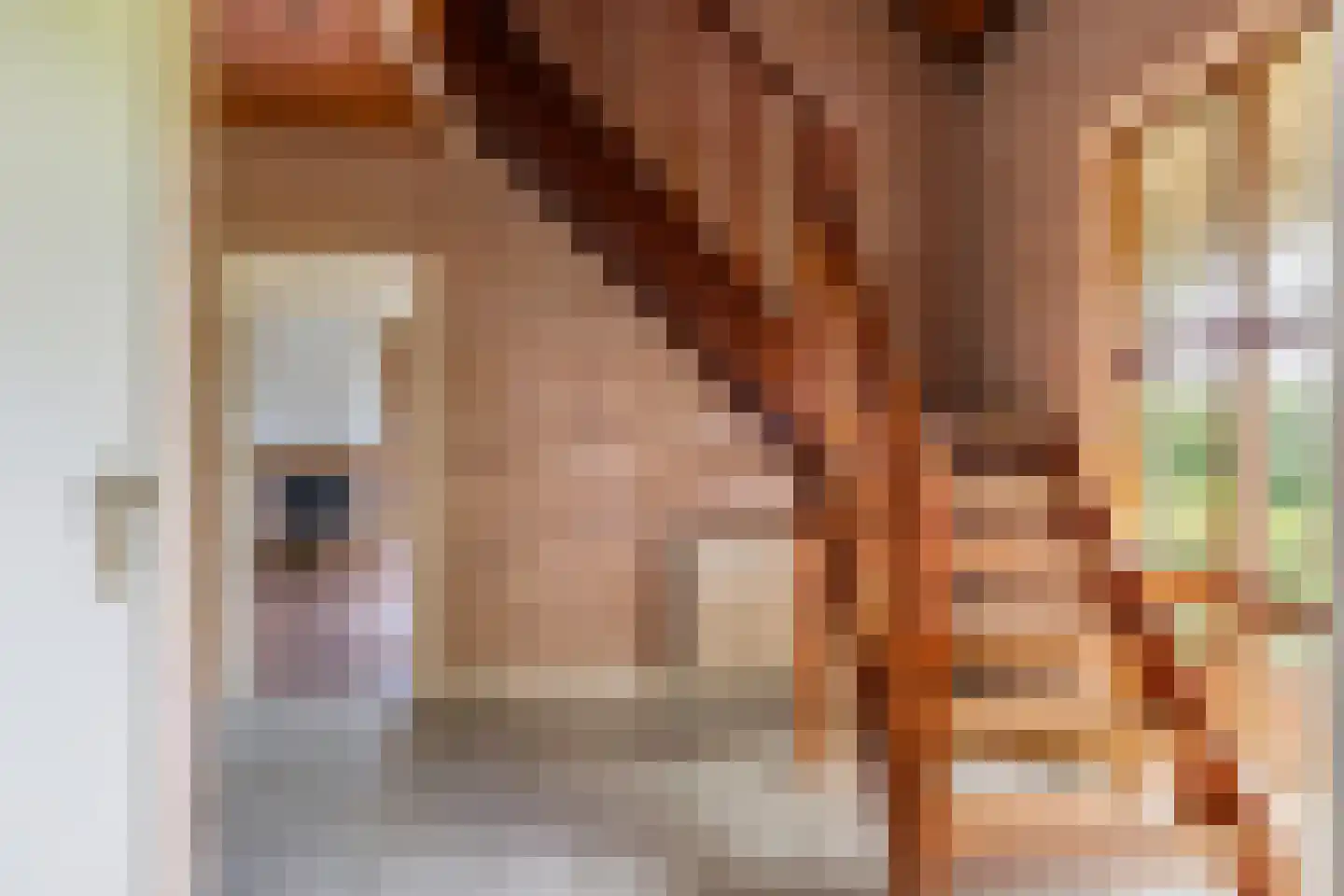 Paardestraat 1 A Steenderen thumbnail 32