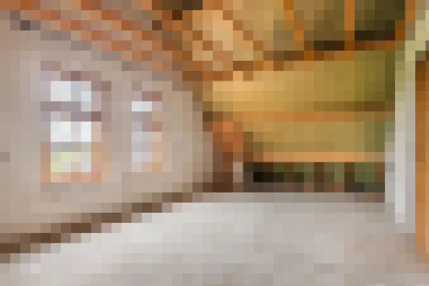 Paardestraat 1 A Steenderen thumbnail 37