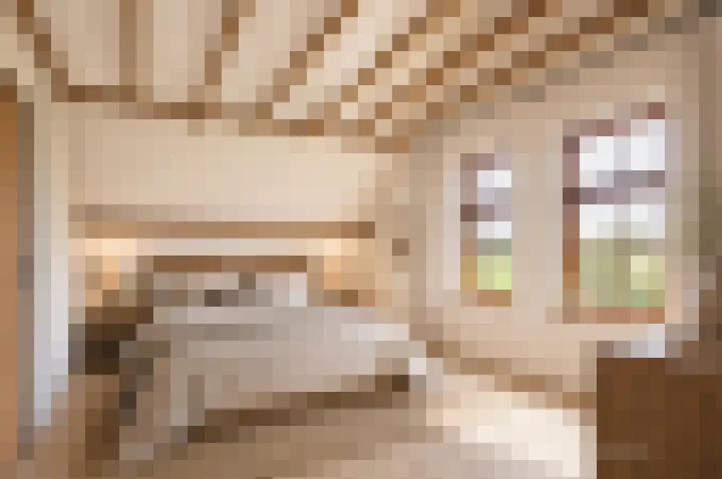 Paardestraat 1 A Steenderen thumbnail 39