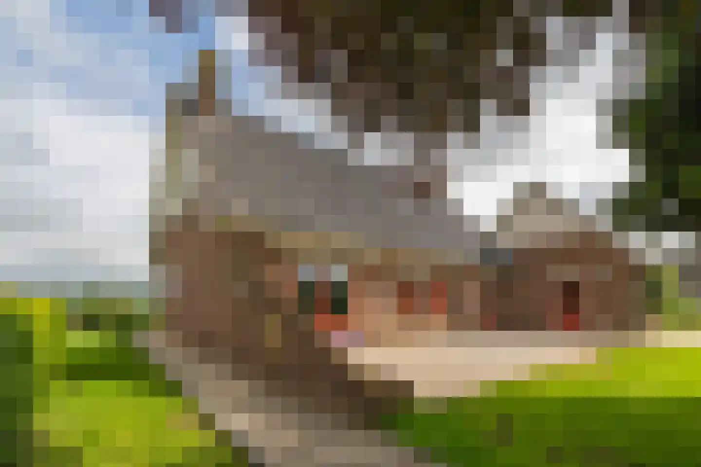 Paardestraat 1 A Steenderen thumbnail 46
