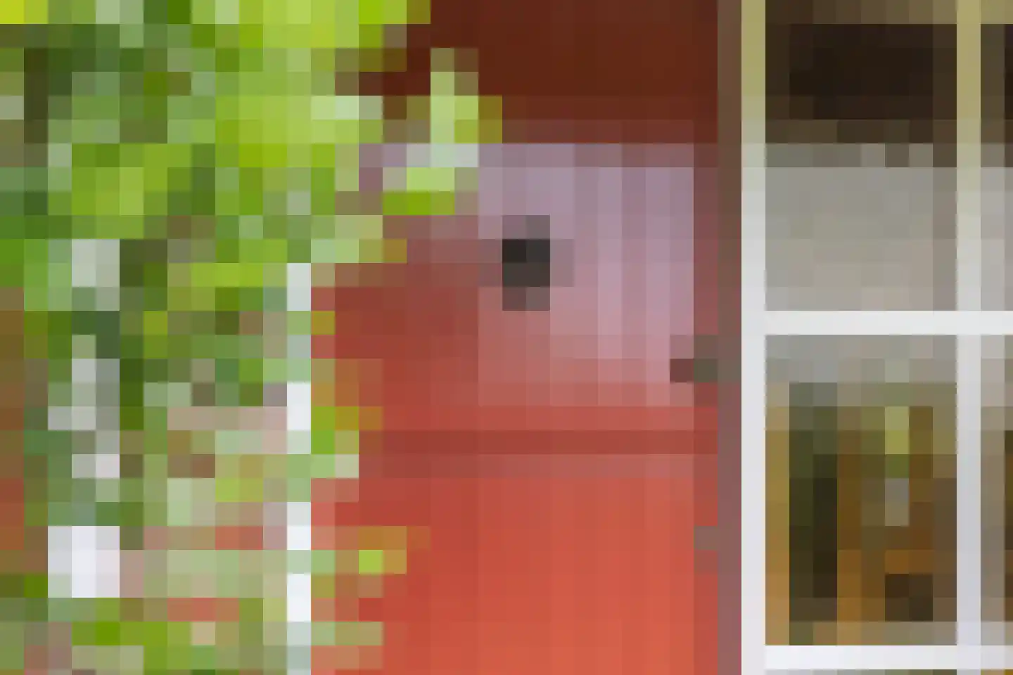 Paardestraat 1 A Steenderen thumbnail 48