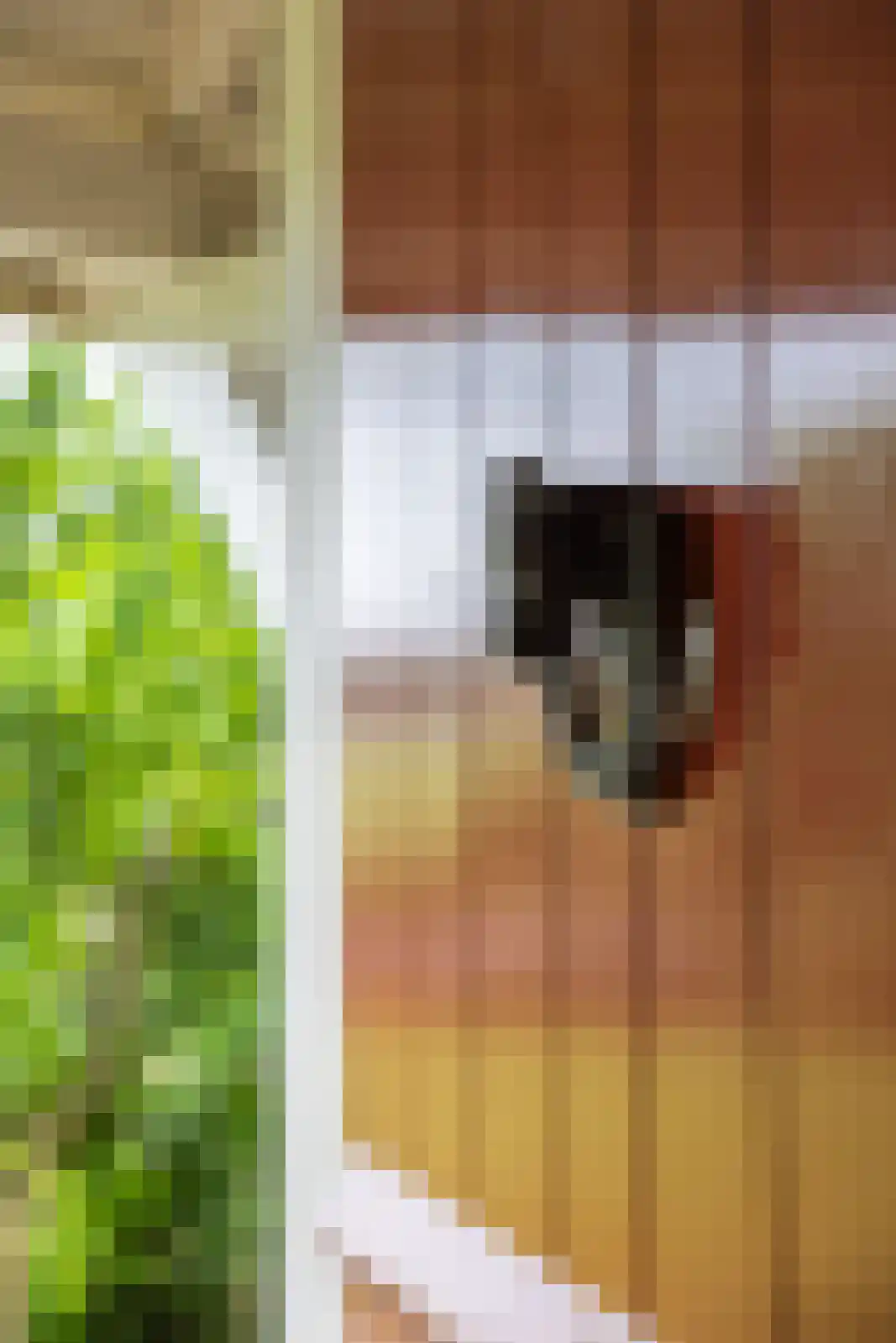 Paardestraat 1 A Steenderen thumbnail 49