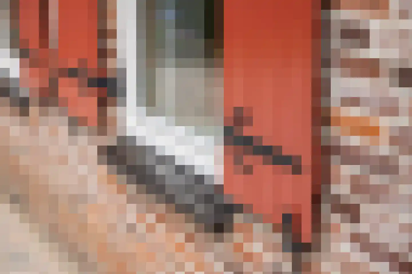 Paardestraat 1 A Steenderen thumbnail 50
