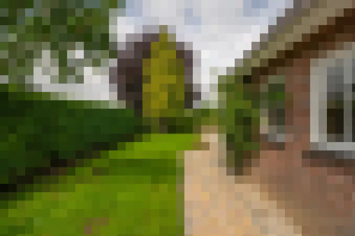 Paardestraat 1 A Steenderen thumbnail 54
