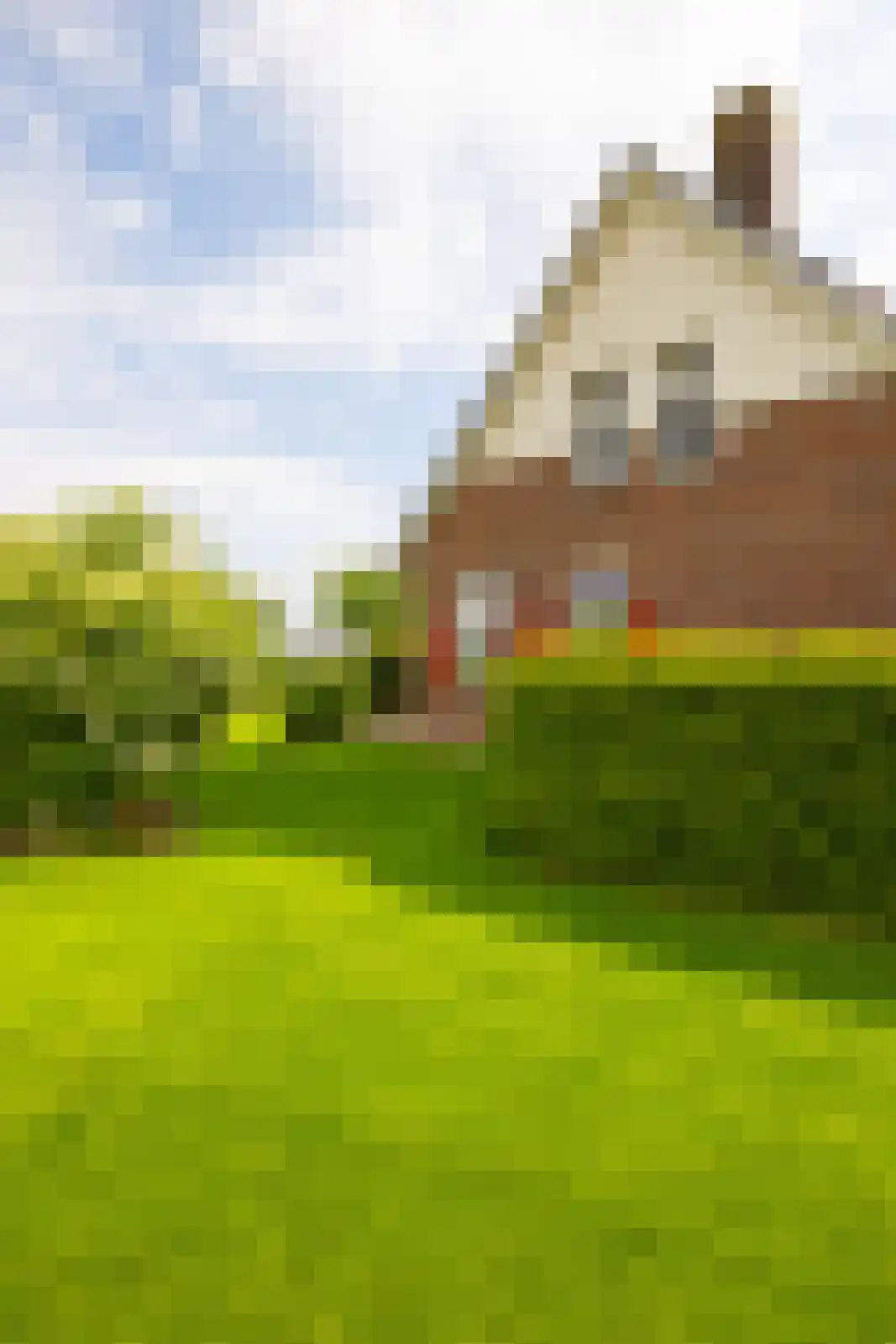 Paardestraat 1 A Steenderen thumbnail 56