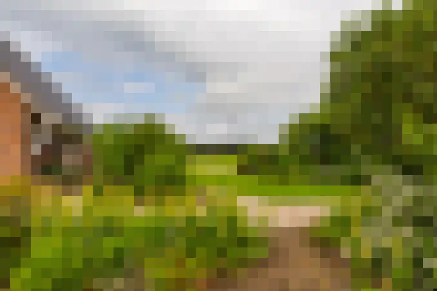 Paardestraat 1 A Steenderen thumbnail 58