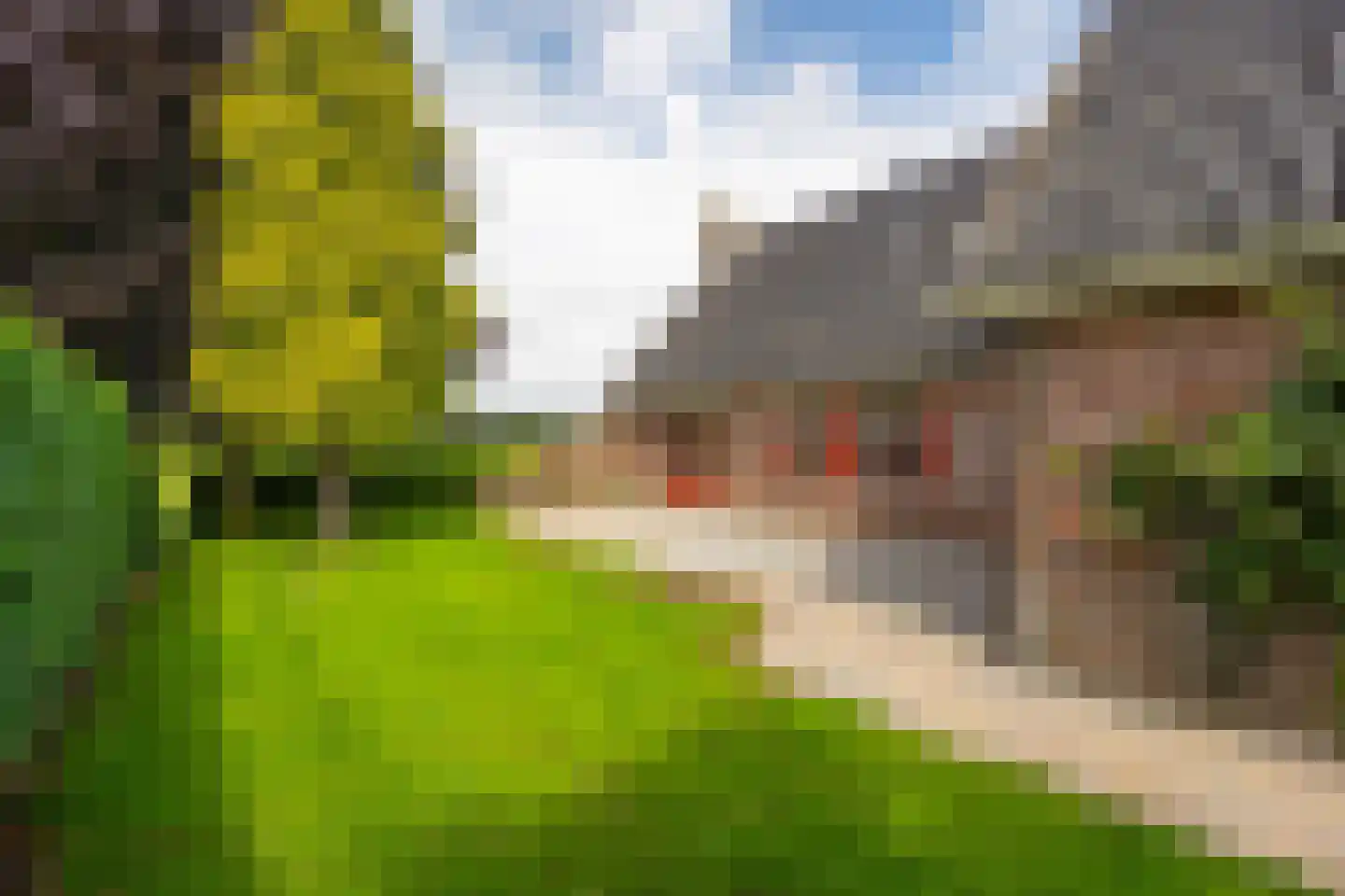 Paardestraat 1 A Steenderen thumbnail 60