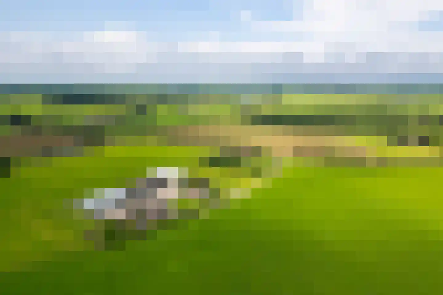 Paardestraat 1 A Steenderen thumbnail 64