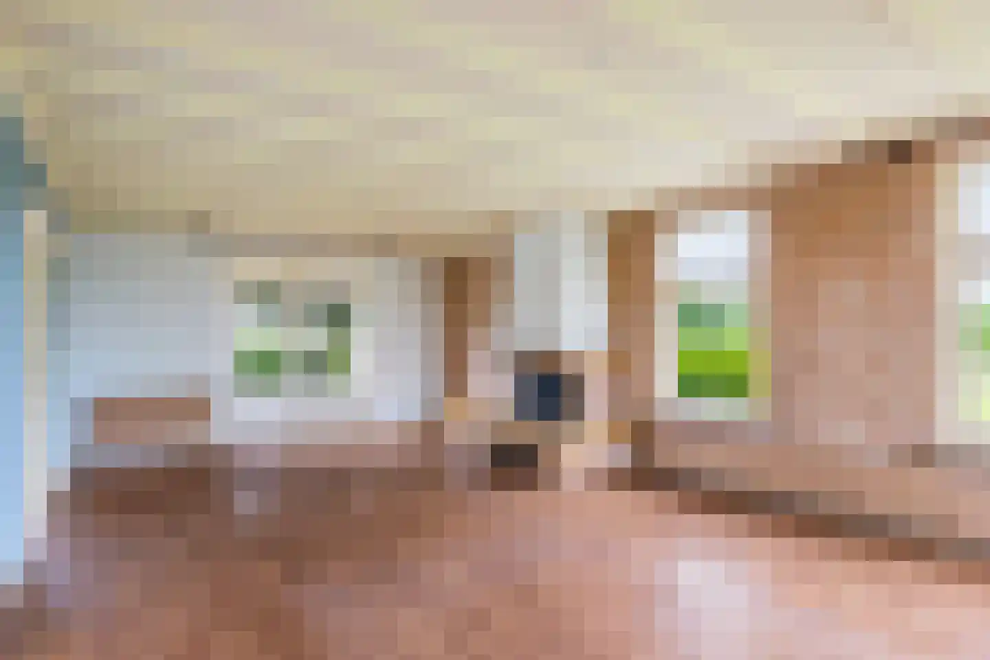 Paardestraat 1 A Steenderen thumbnail 7