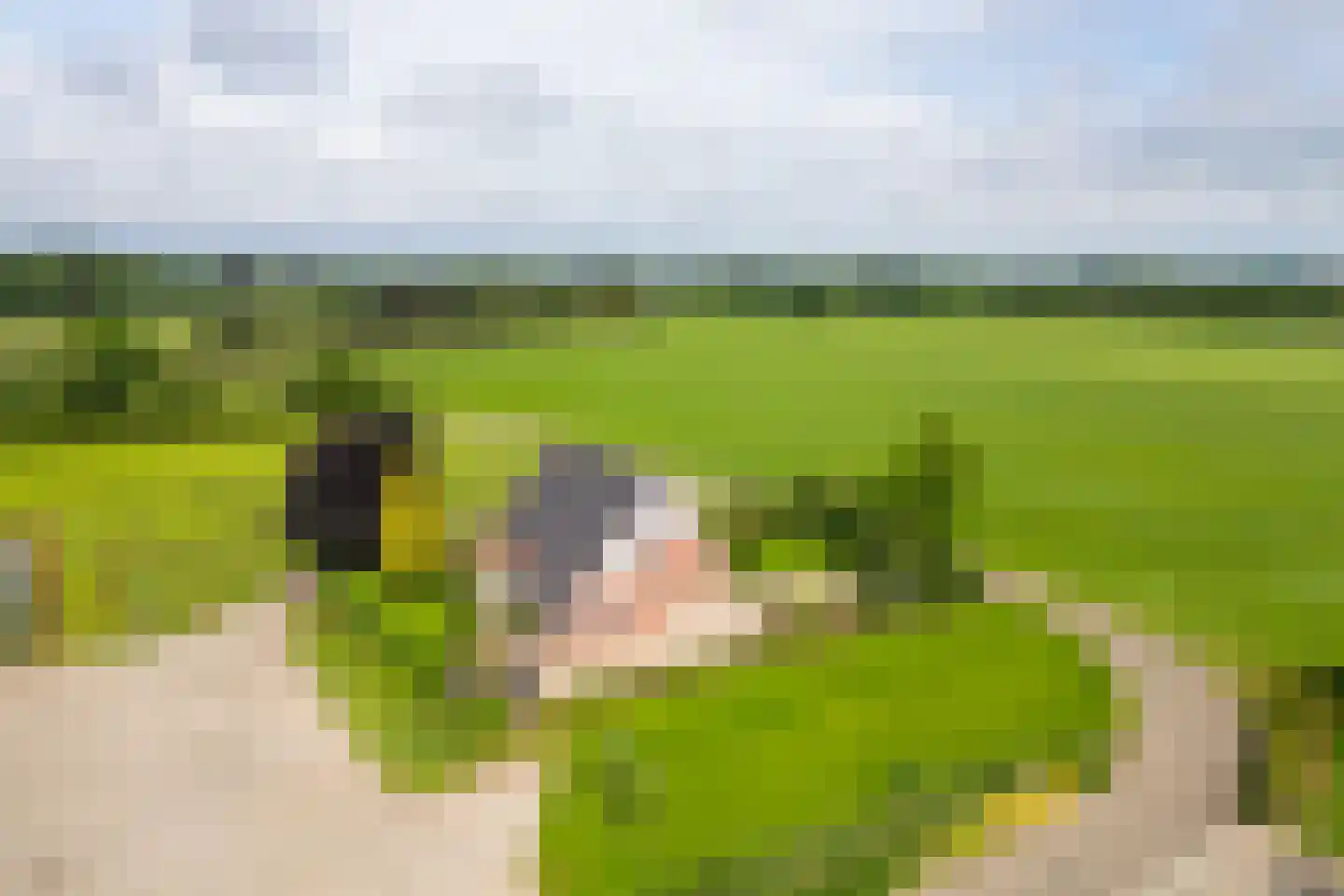 Paardestraat 1 A Steenderen thumbnail 70