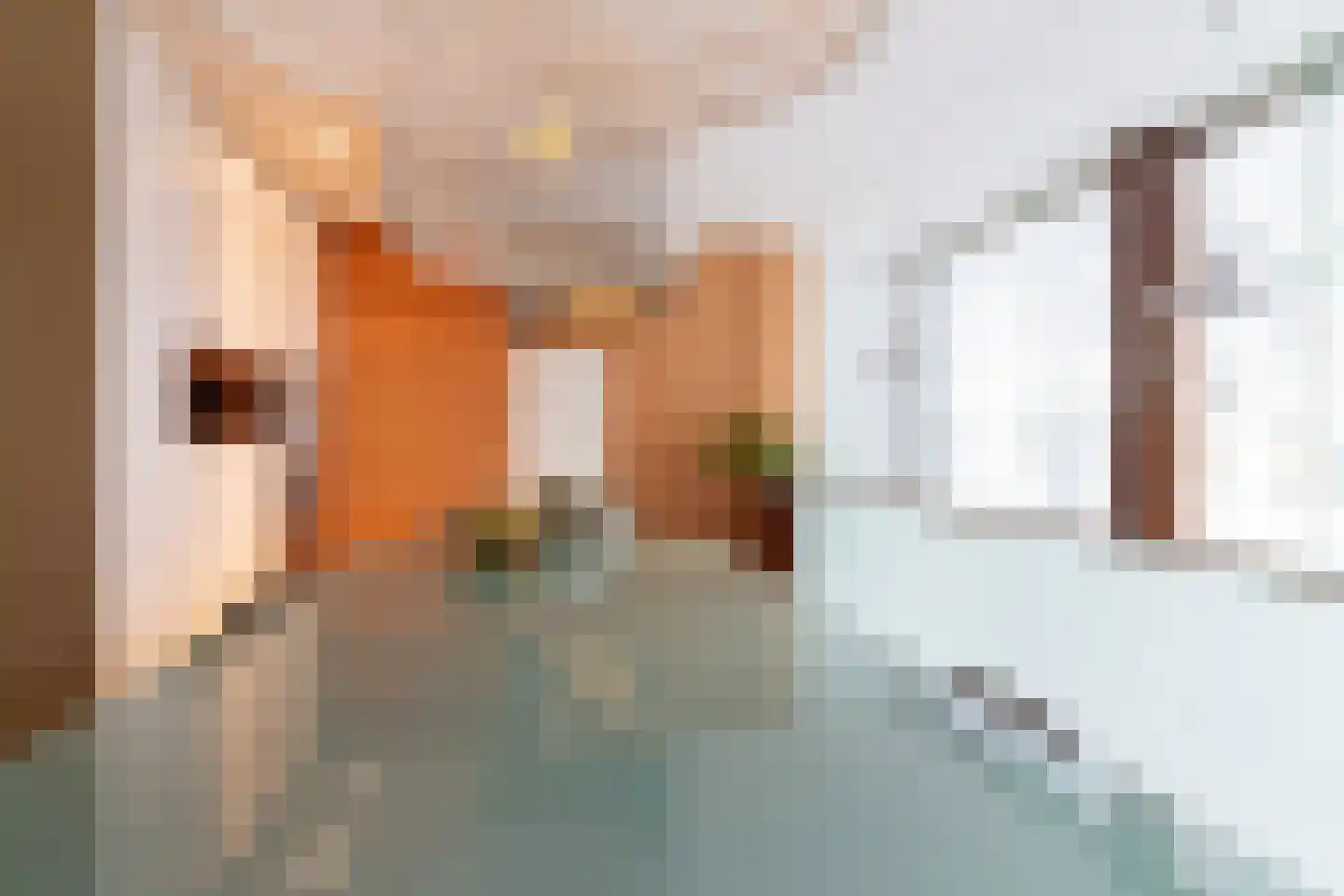 Paardestraat 10 Sittard thumbnail 15