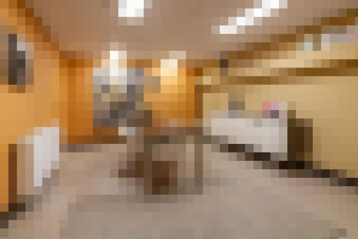 Paardestraat 10 Sittard thumbnail 26