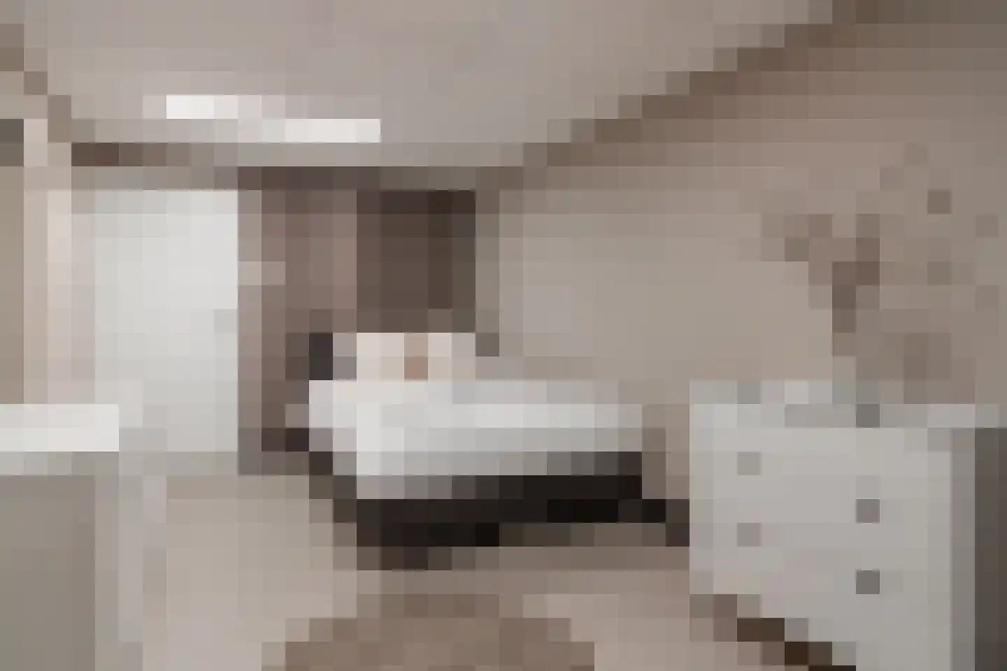 Paardestraat 10 Sittard thumbnail 33