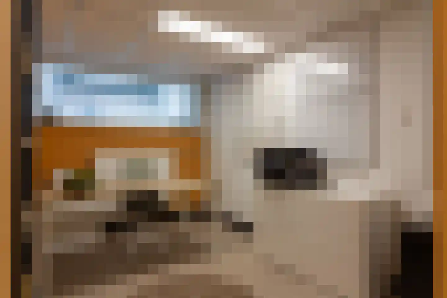 Paardestraat 10 Sittard thumbnail 35