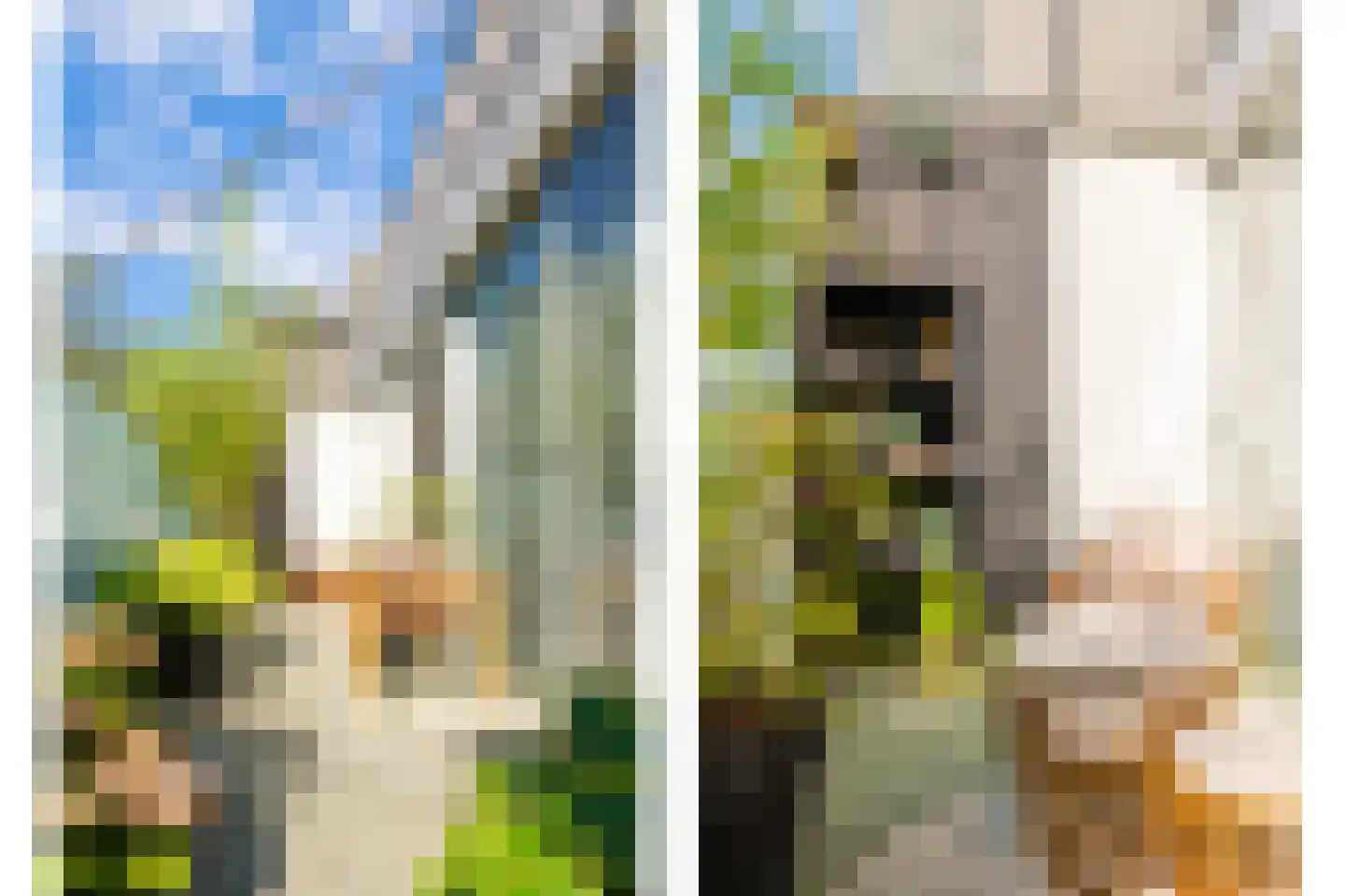 Paardestraat 10 Sittard thumbnail 39