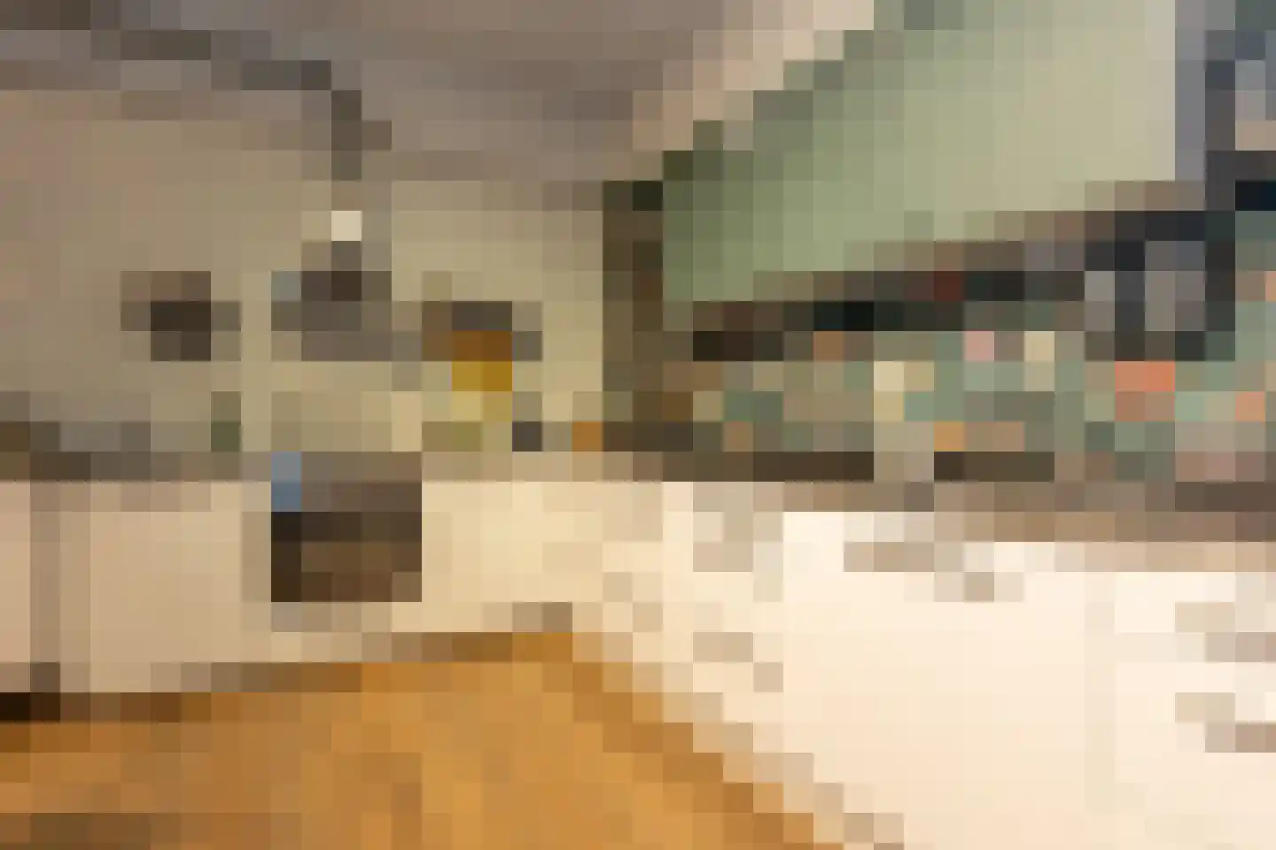 Paardestraat 13 Sittard thumbnail 15