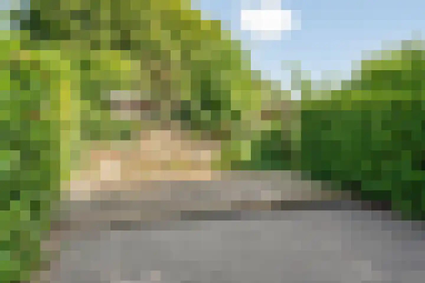 Paardestraat 55 Sittard thumbnail 28