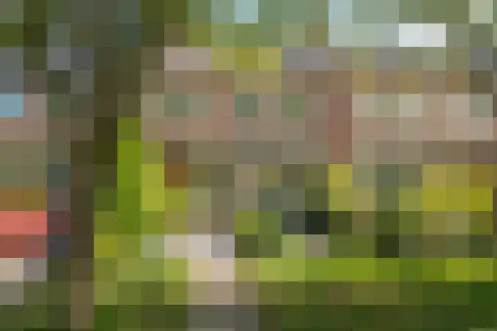 Paardeweijdt 4 in Heiloo