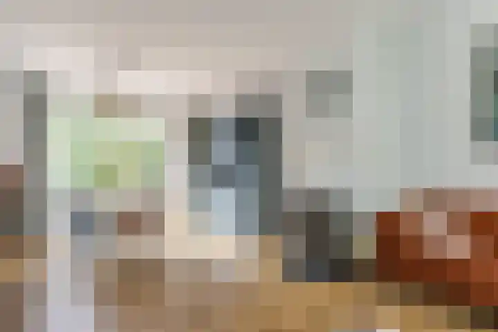 Paardeweijdt 9 Heiloo thumbnail 10
