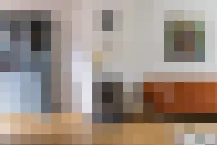 Paardeweijdt 9 Heiloo thumbnail 11