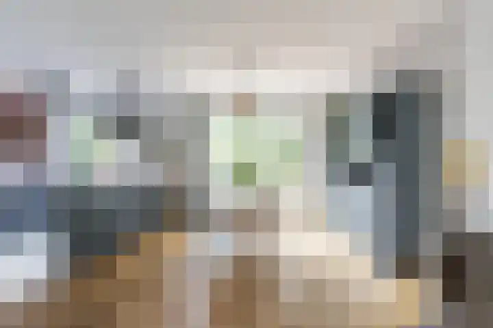 Paardeweijdt 9 Heiloo thumbnail 12