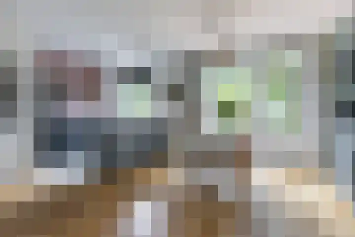 Paardeweijdt 9 Heiloo thumbnail 13