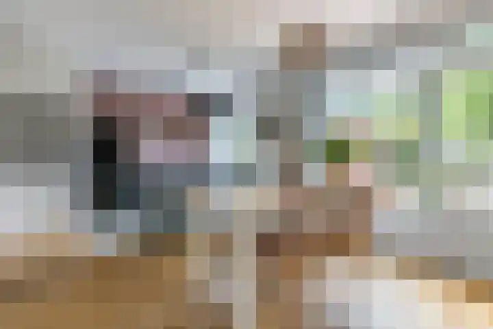 Paardeweijdt 9 Heiloo thumbnail 14