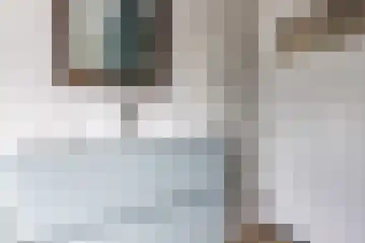 Paardeweijdt 9 Heiloo thumbnail 25