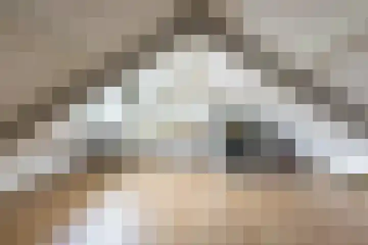 Paardeweijdt 9 Heiloo thumbnail 28