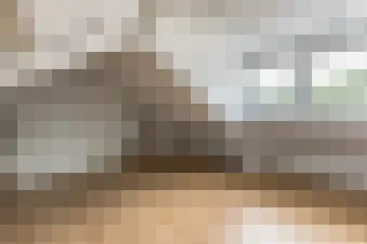 Paardeweijdt 9 Heiloo thumbnail 30