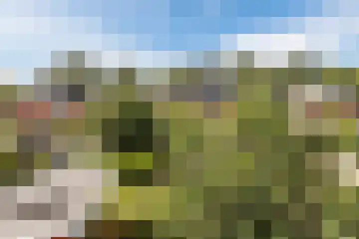 Paardeweijdt 9 Heiloo thumbnail 31