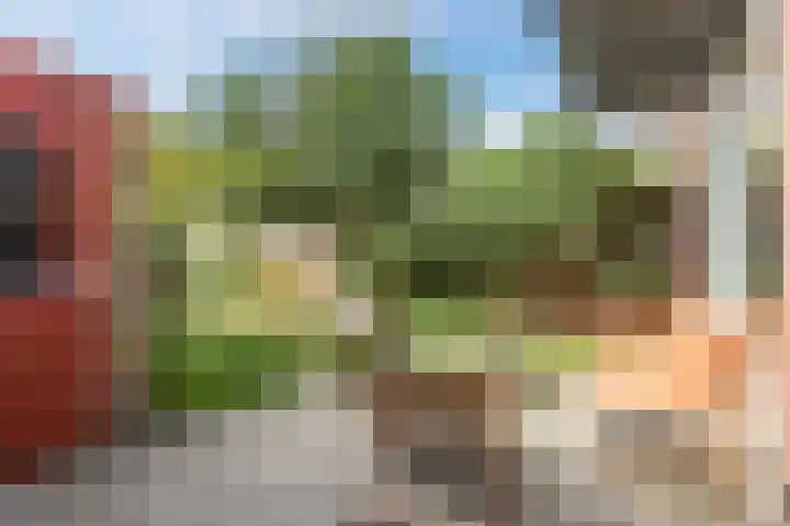 Paardeweijdt 9 Heiloo thumbnail 32