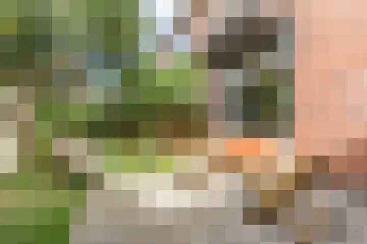 Paardeweijdt 9 Heiloo thumbnail 33