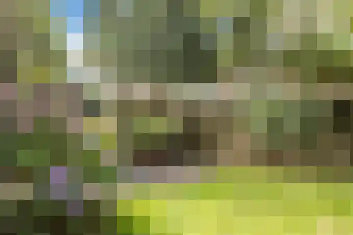 Paardeweijdt 9 Heiloo thumbnail 34