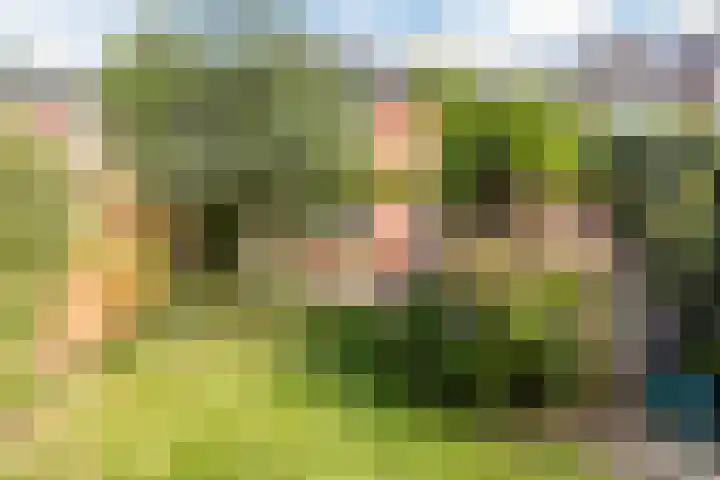 Paardeweijdt 9 Heiloo thumbnail 35